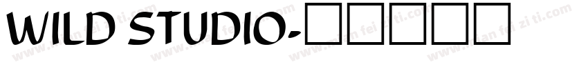 WILD STUDIO字体转换